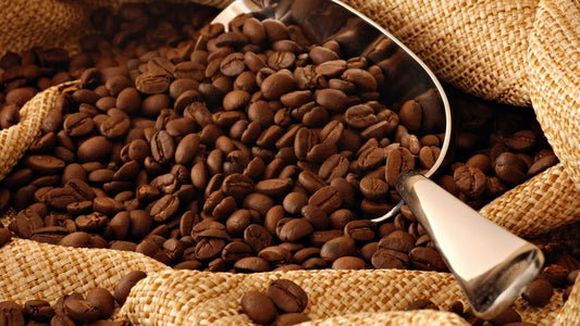 Saylani Roasted Coffee Beans_0