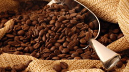 Saylani Roasted Coffee Beans