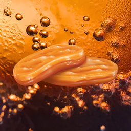 kombucha : 康普茶