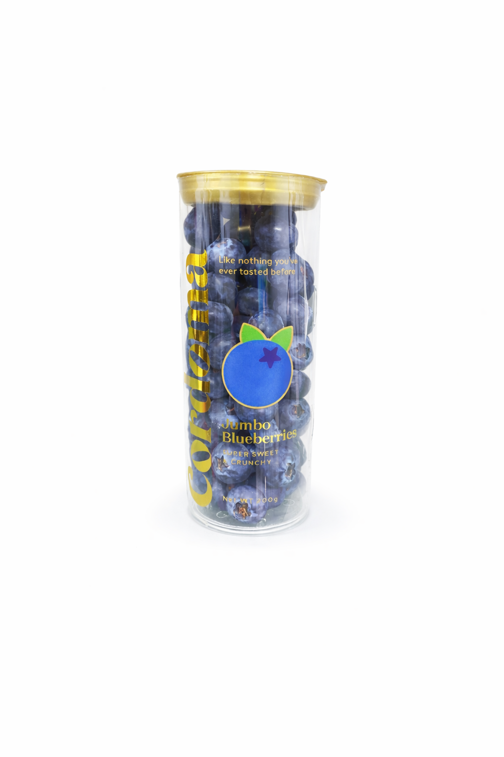China Cordoma Jumbo Blueberry