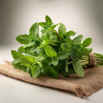 Mint
