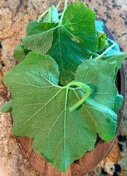 Pumpkin leaves