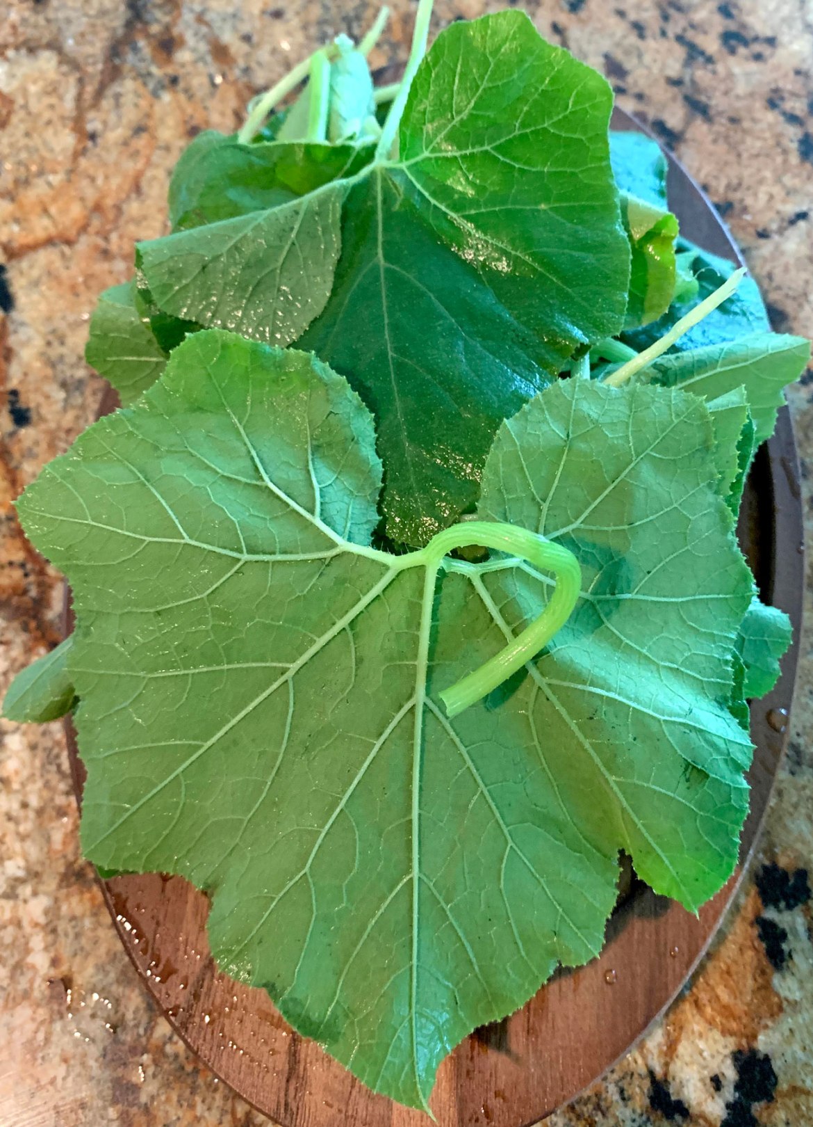 Pumpkin leaves