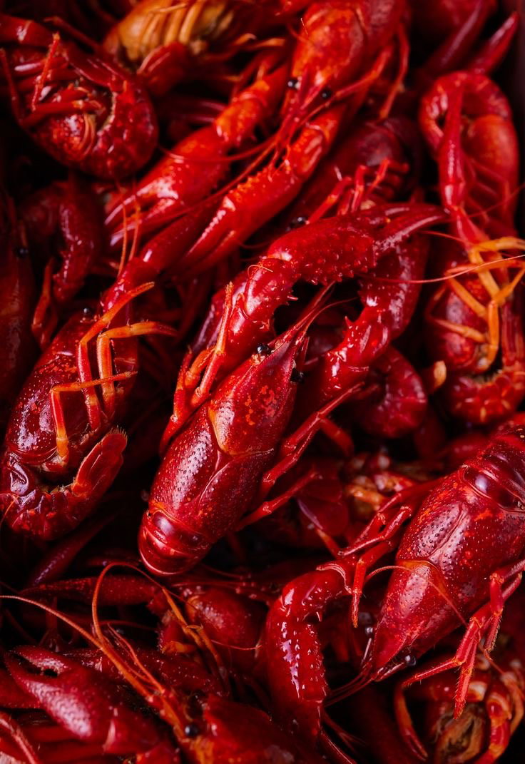 Crawfish Boil_0