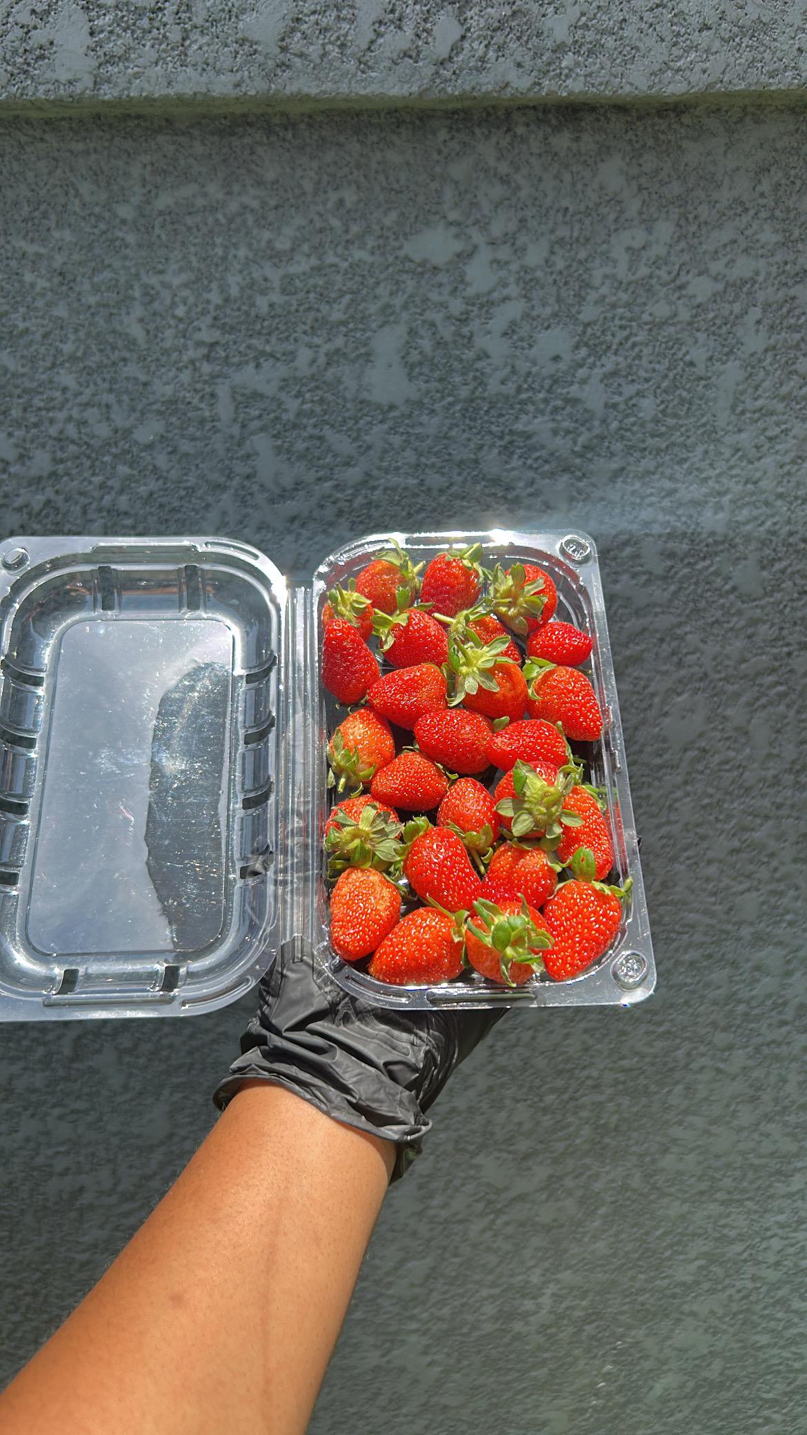 Strawberry _1