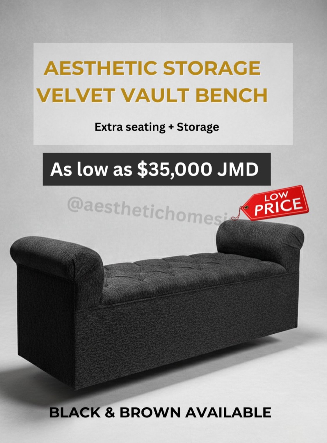 Aesthetic Storage Vault bench_1