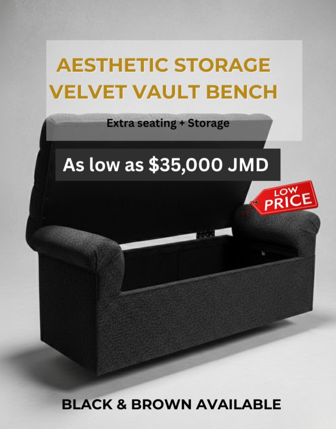 Aesthetic Storage Vault bench
