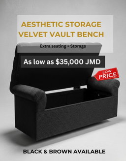 Aesthetic Storage Vault bench