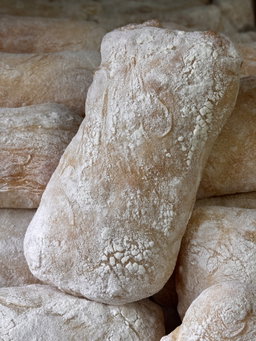 Pane