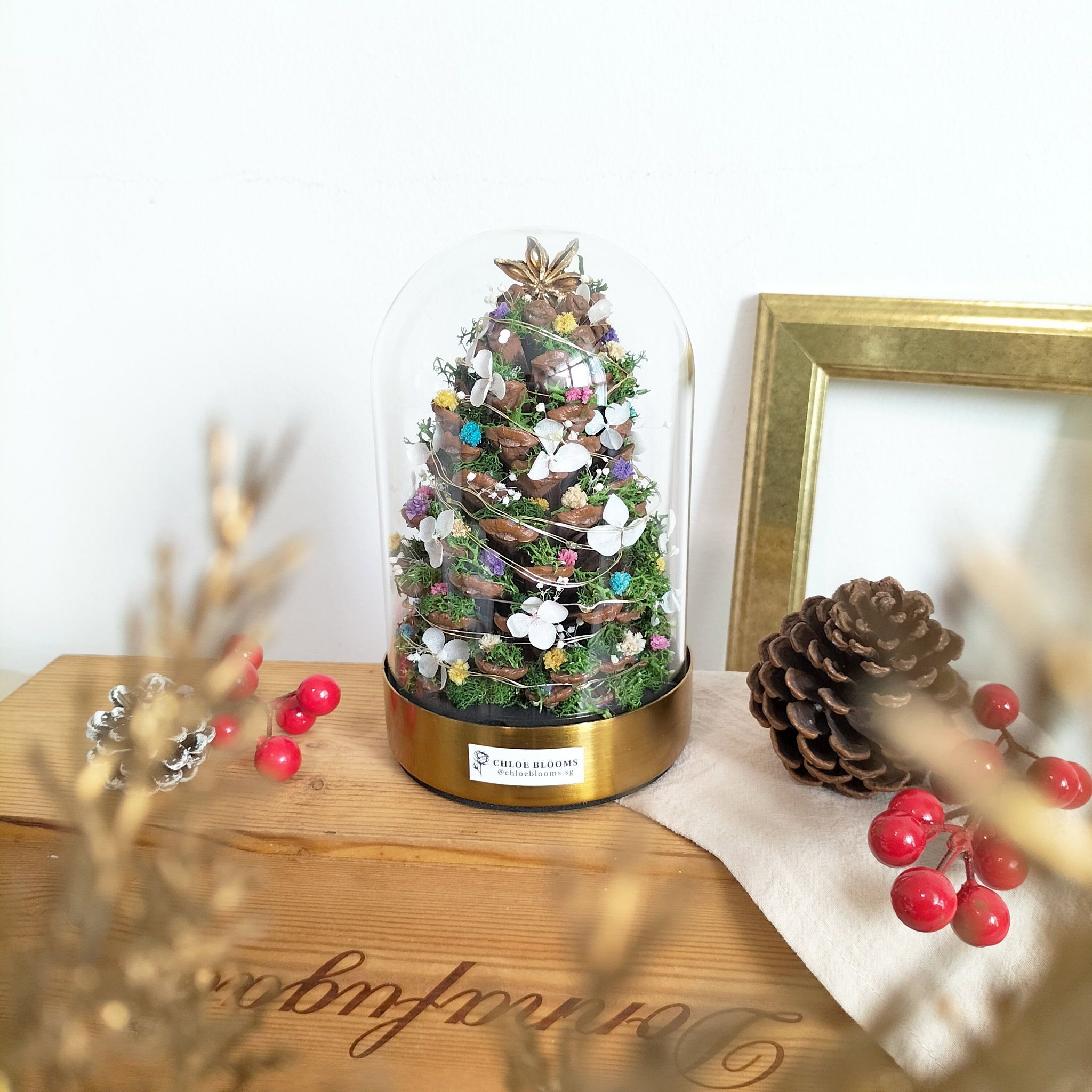 Christmas Tree LED Dome_0