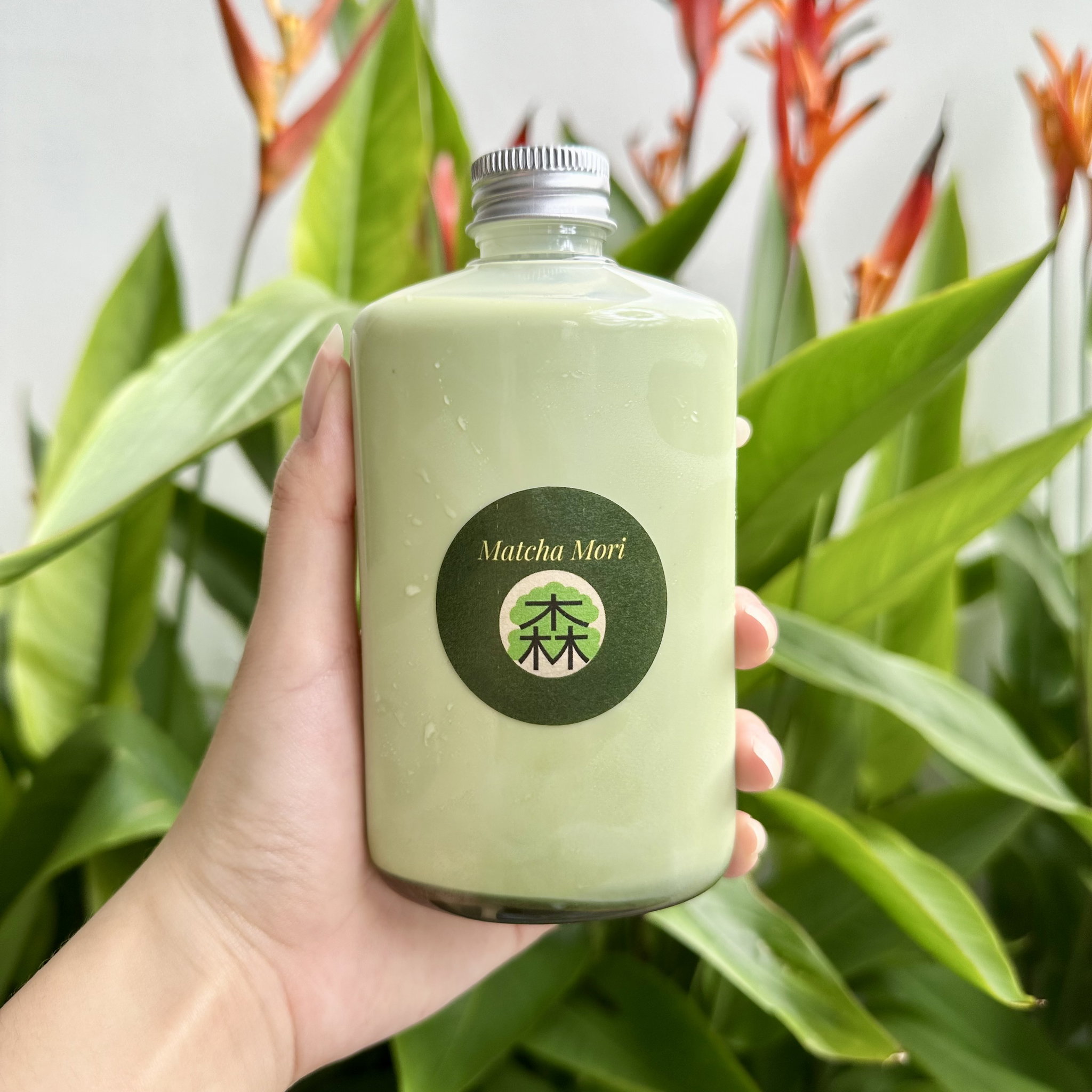 OG Matcha Latte_0