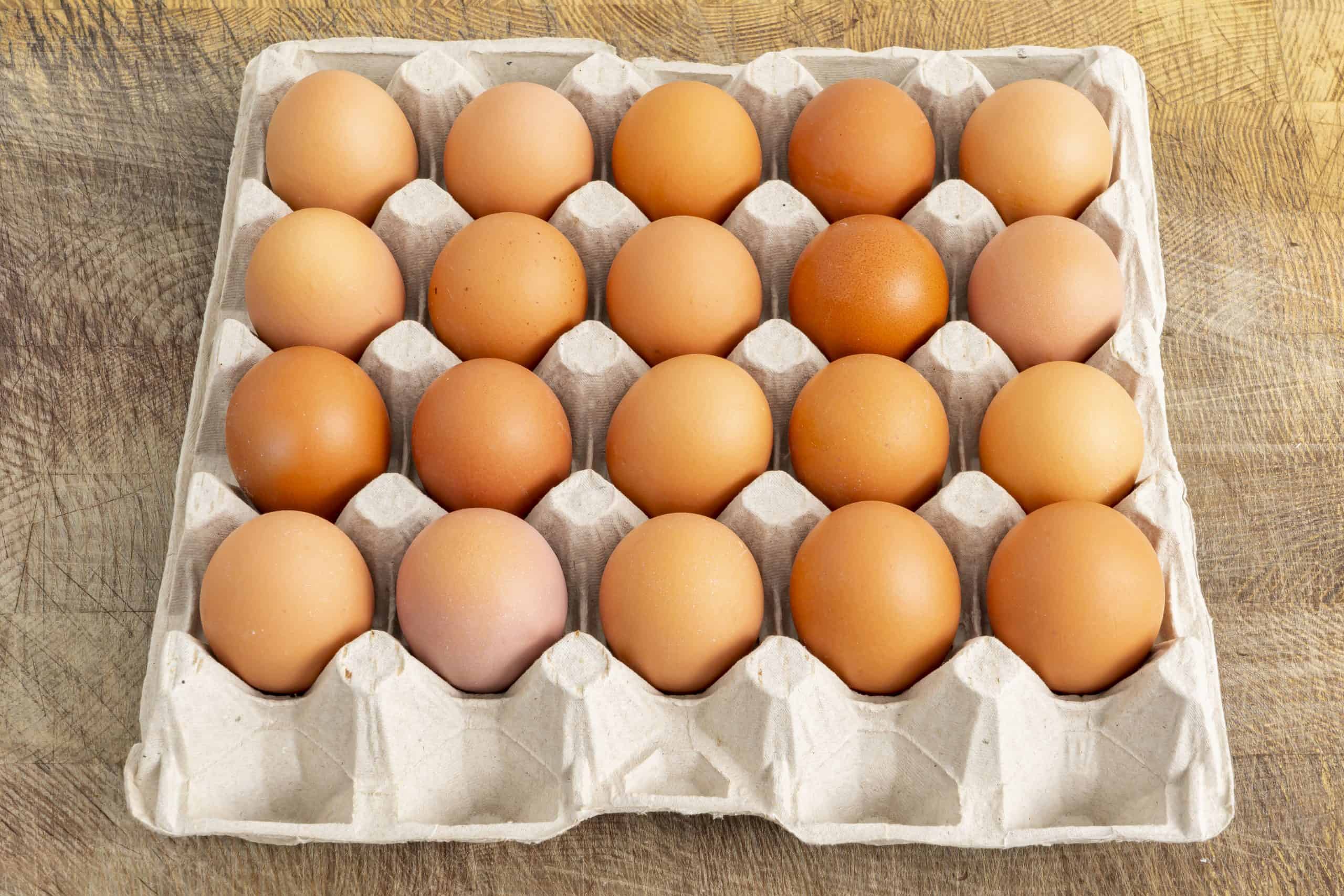 Eggs 