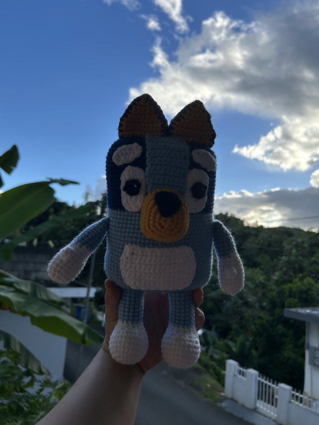 Bluey