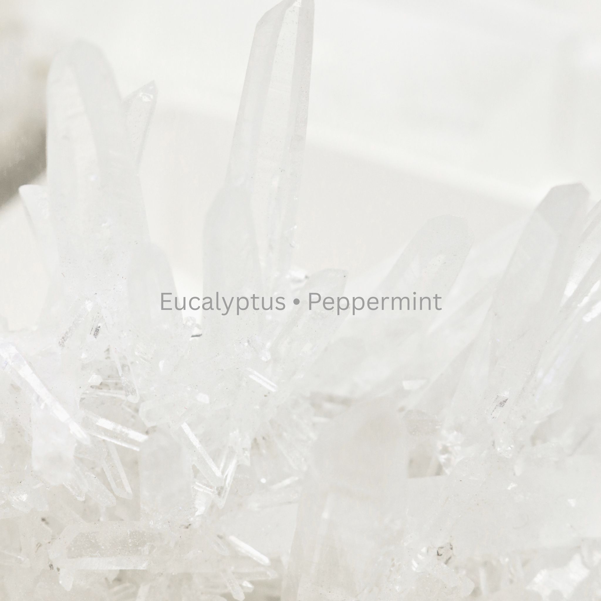 Clear Vision_1