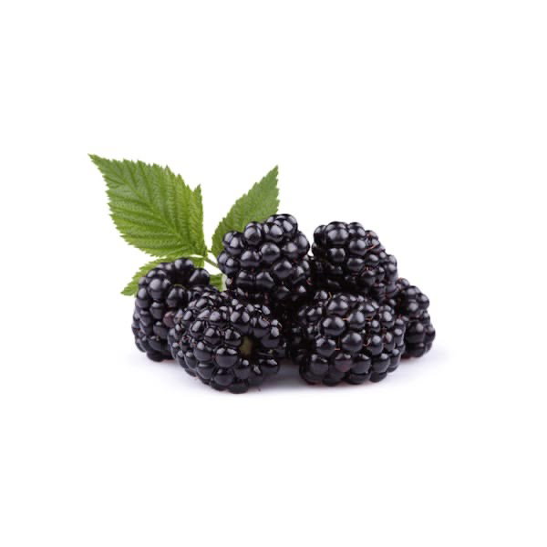 Blackberry