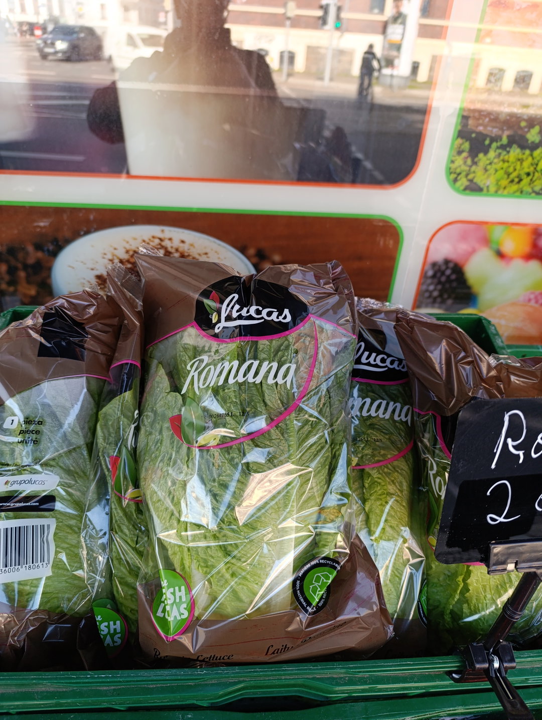 خس كبير | Romana Salat