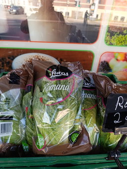 خس كبير | Romana Salat