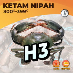 L (H3) / KG
