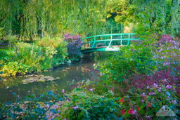 Castelo de Versalhes com Giverny : transfer ida e volta 7 a 8 pessoas
