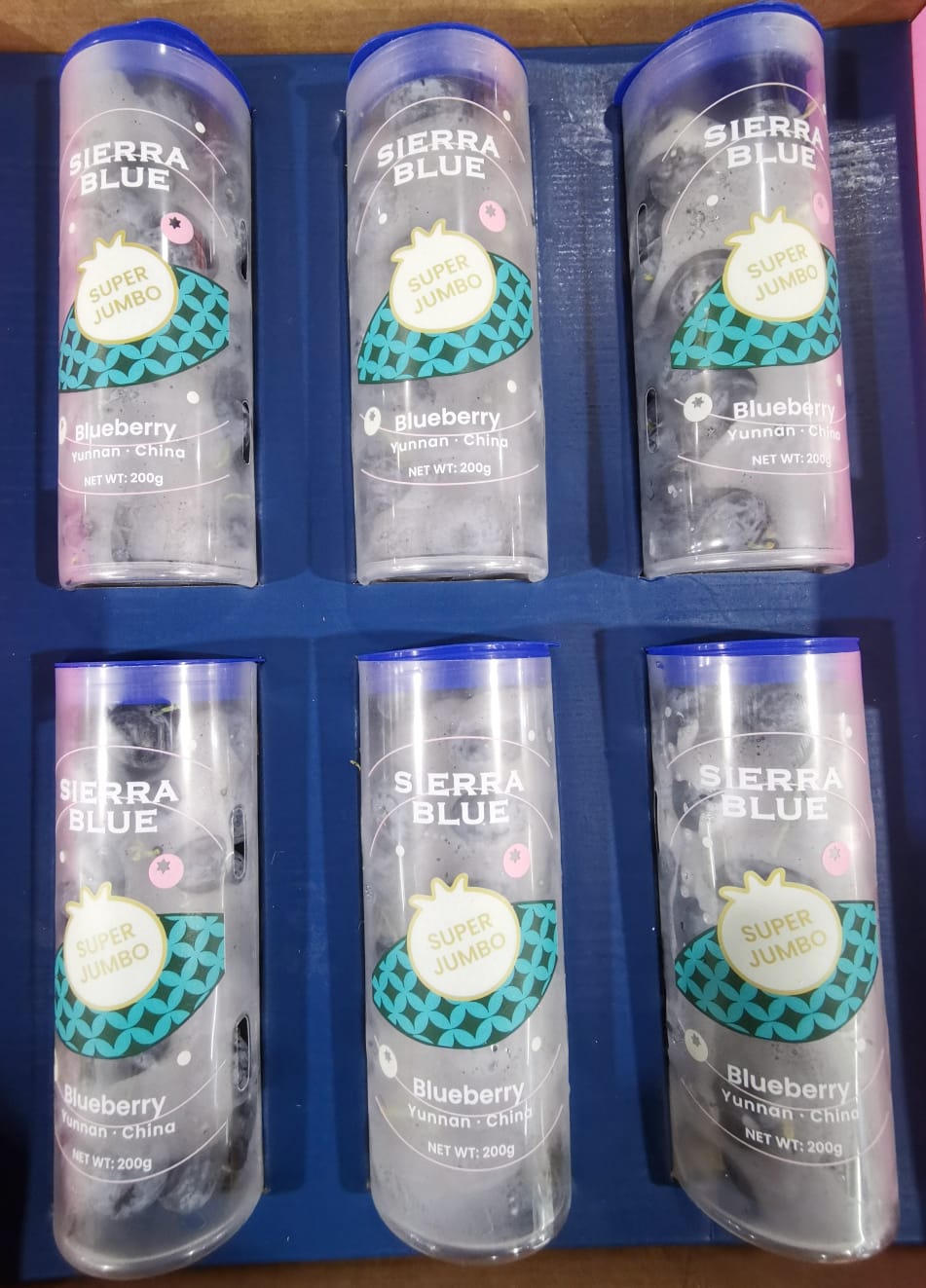 Yunnan Super Jumbo Blueberry_0