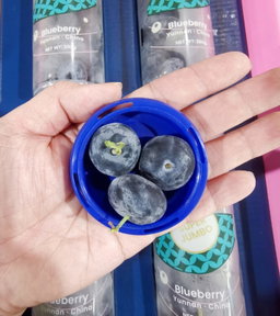 Yunnan Super Jumbo Blueberry