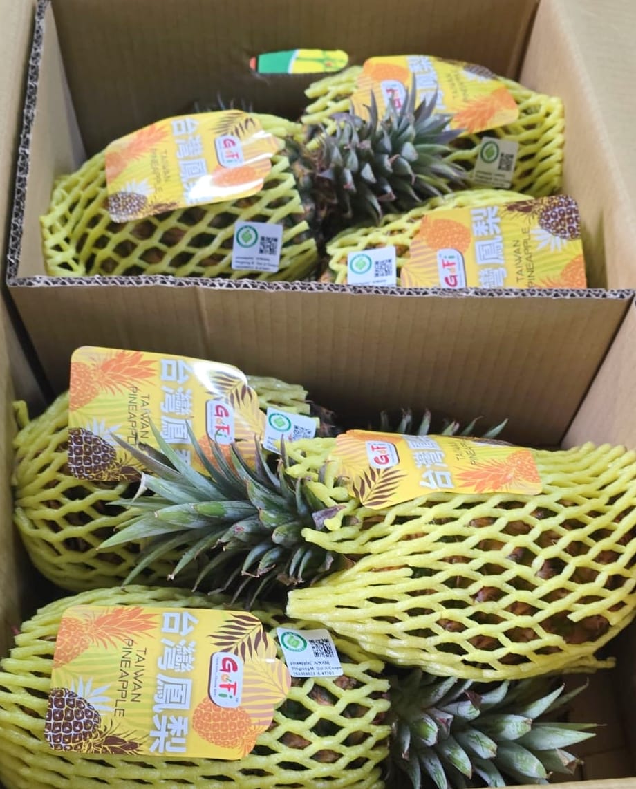 Taiwan Pineapple_0