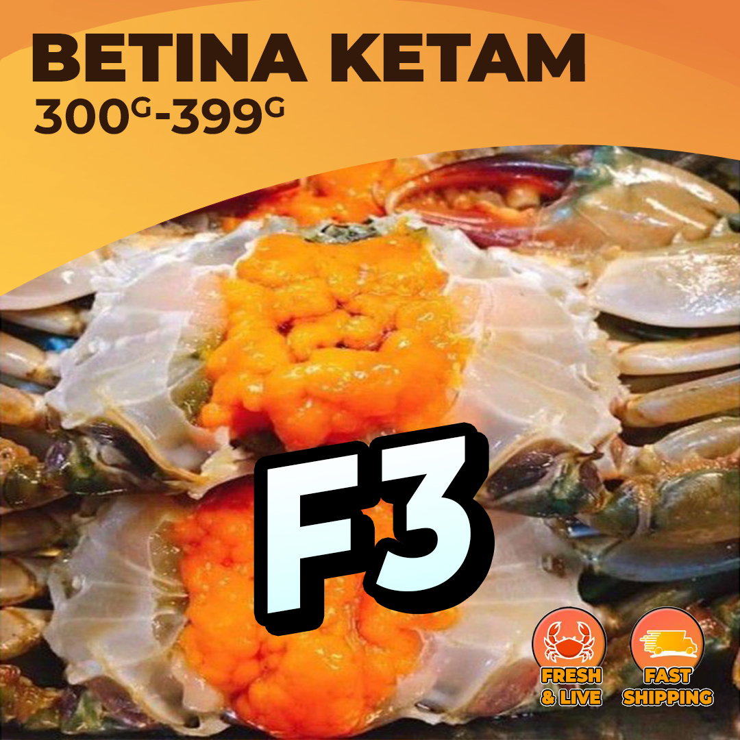 L BETINA (F3) / KG_0