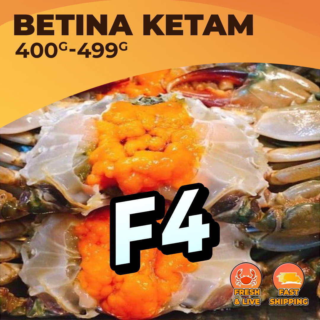 XL BETINA (F4) / KG_0
