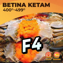 XL BETINA (F4) / KG