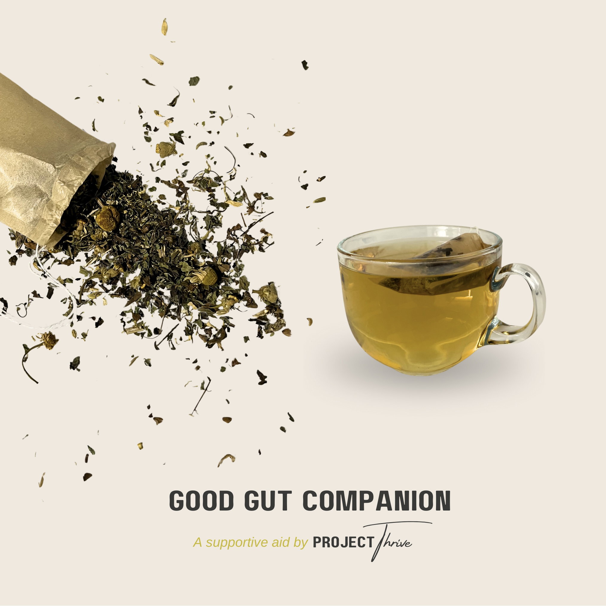 Good Gut Companion _3