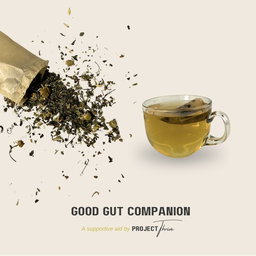Good Gut Companion 