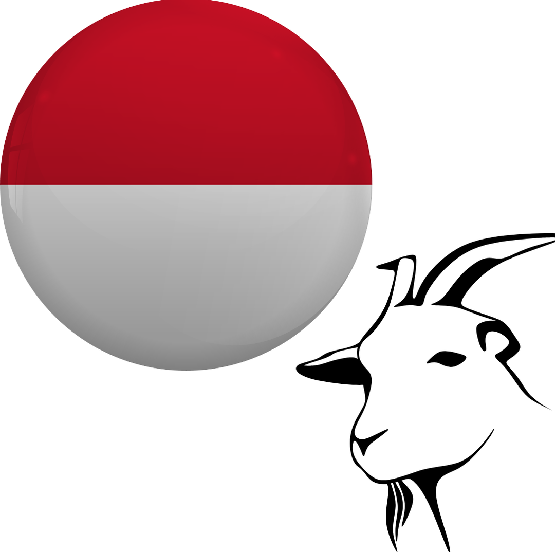 Indonesia - Goat/Sheep 