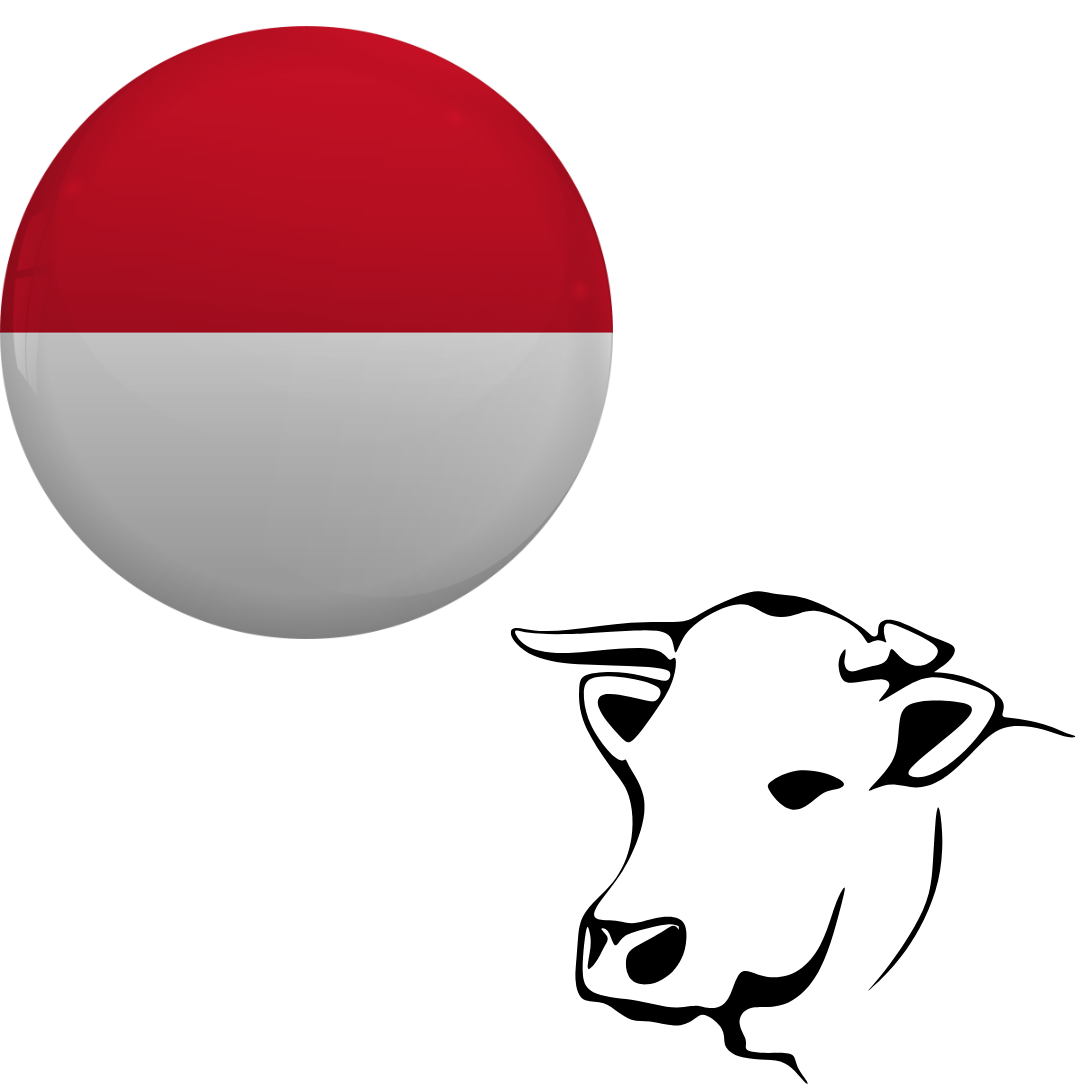 Indonesia - Cattle (Whole)_0