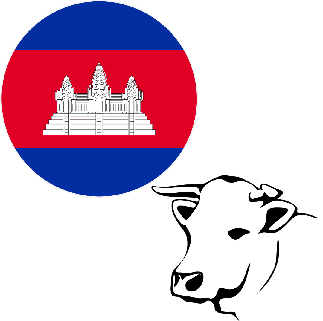 Cambodia - Cattle (Whole)