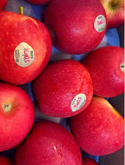 NZ STAR APPLE 100'S