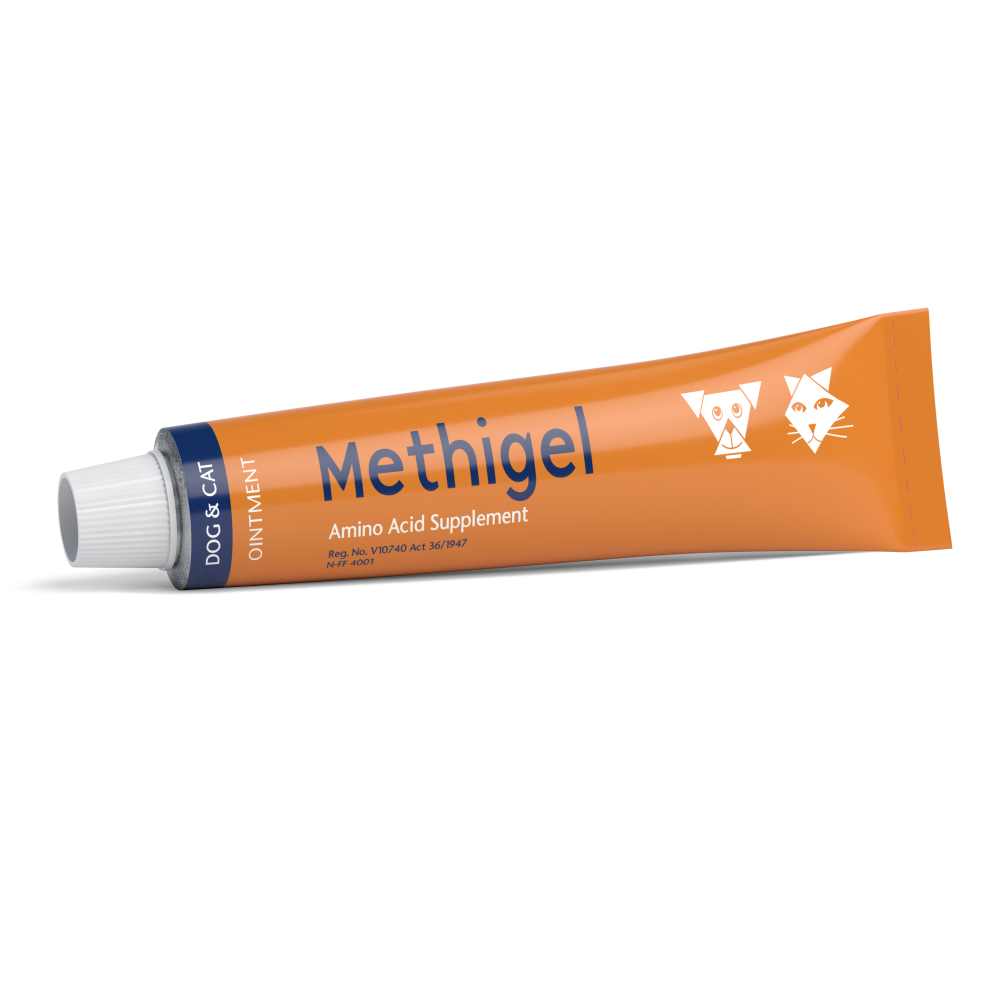 Methigel_0
