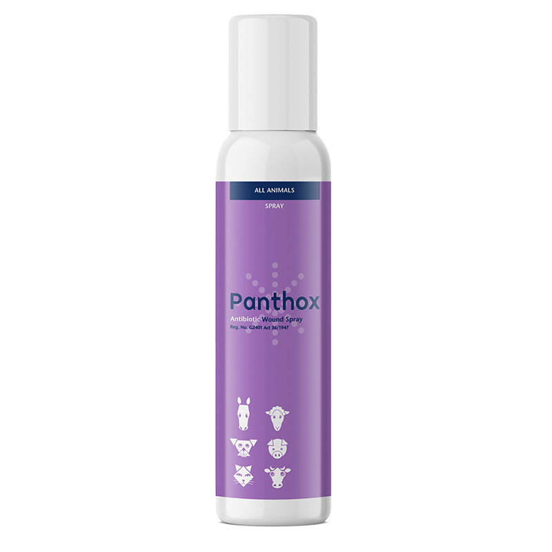 Panthox 200ml_0