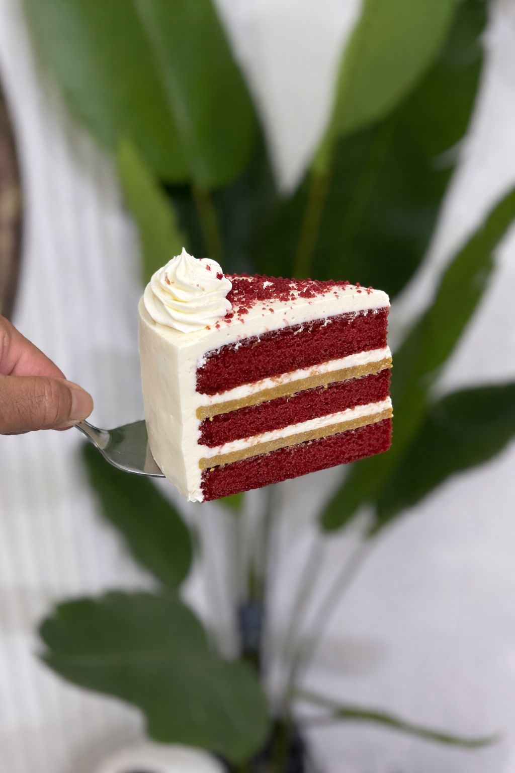 Red velvet Speculoos Cake
