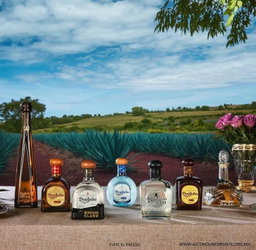 TEQUILA