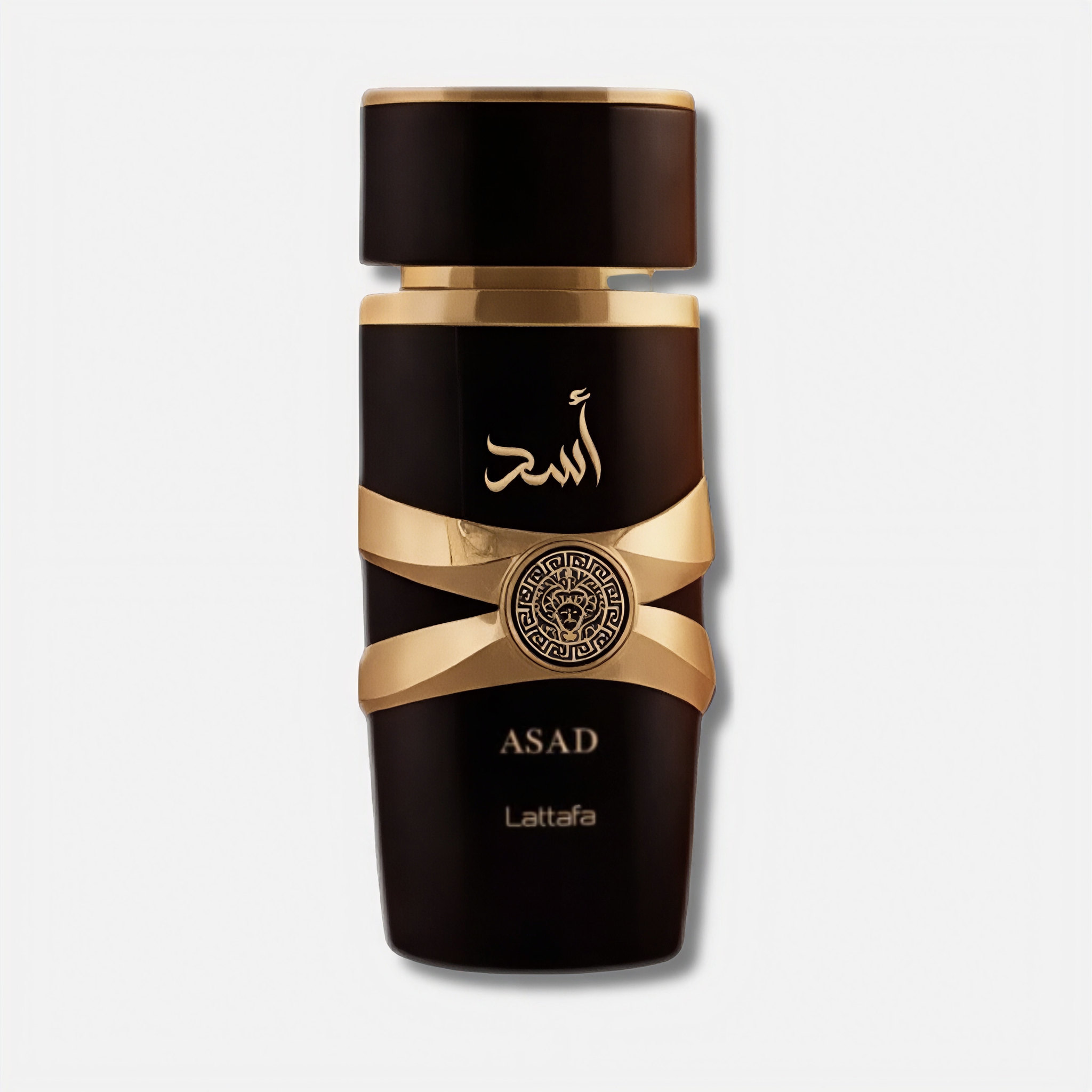 أسد_0