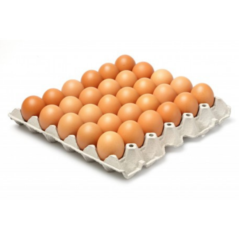 Plateau Oeuf 