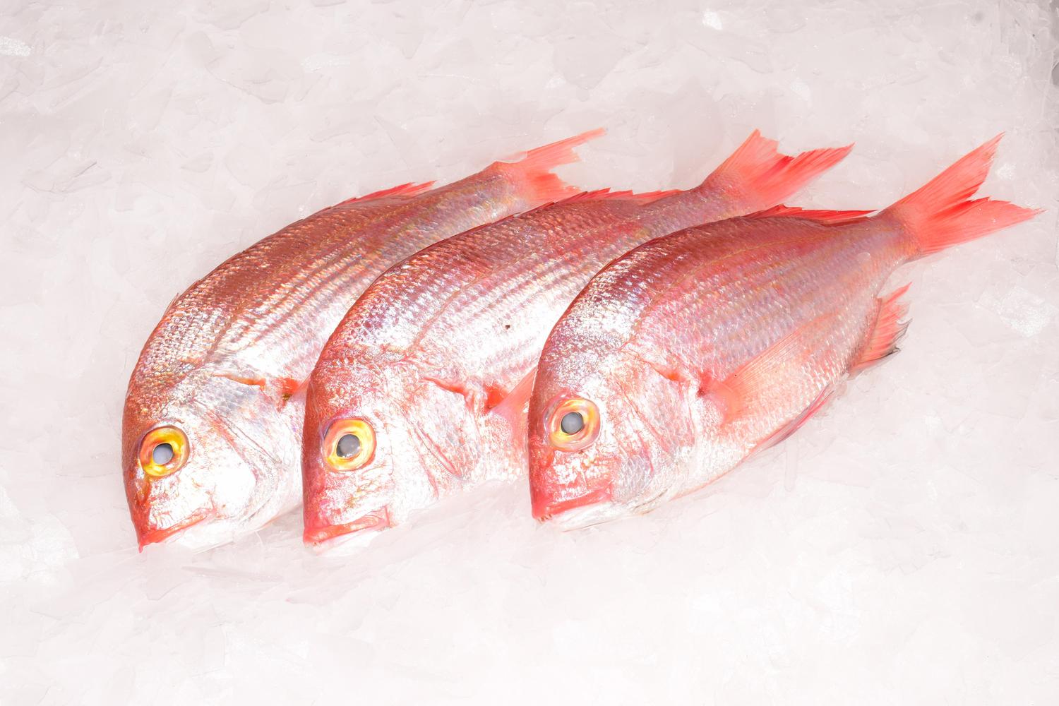 Poisson Mabundu 1 Kg _0