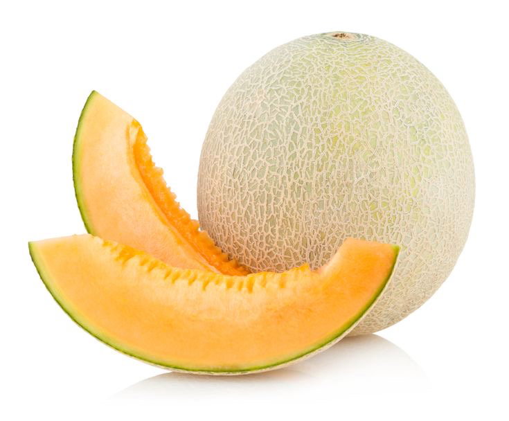 Melon Cantaloupe_0