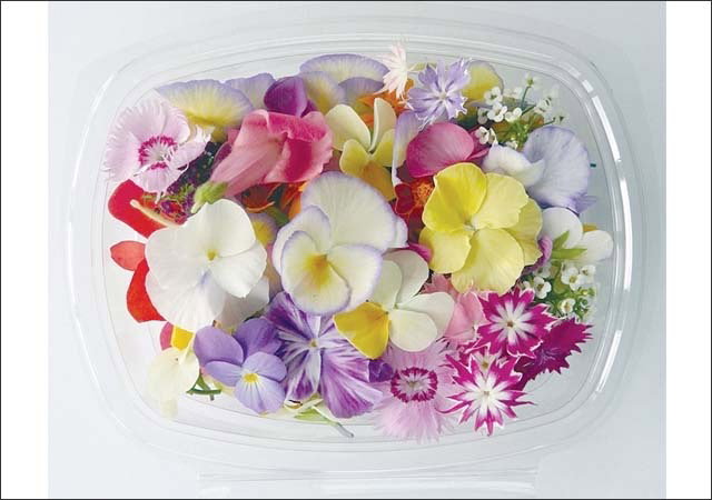 Edible Flowers_0
