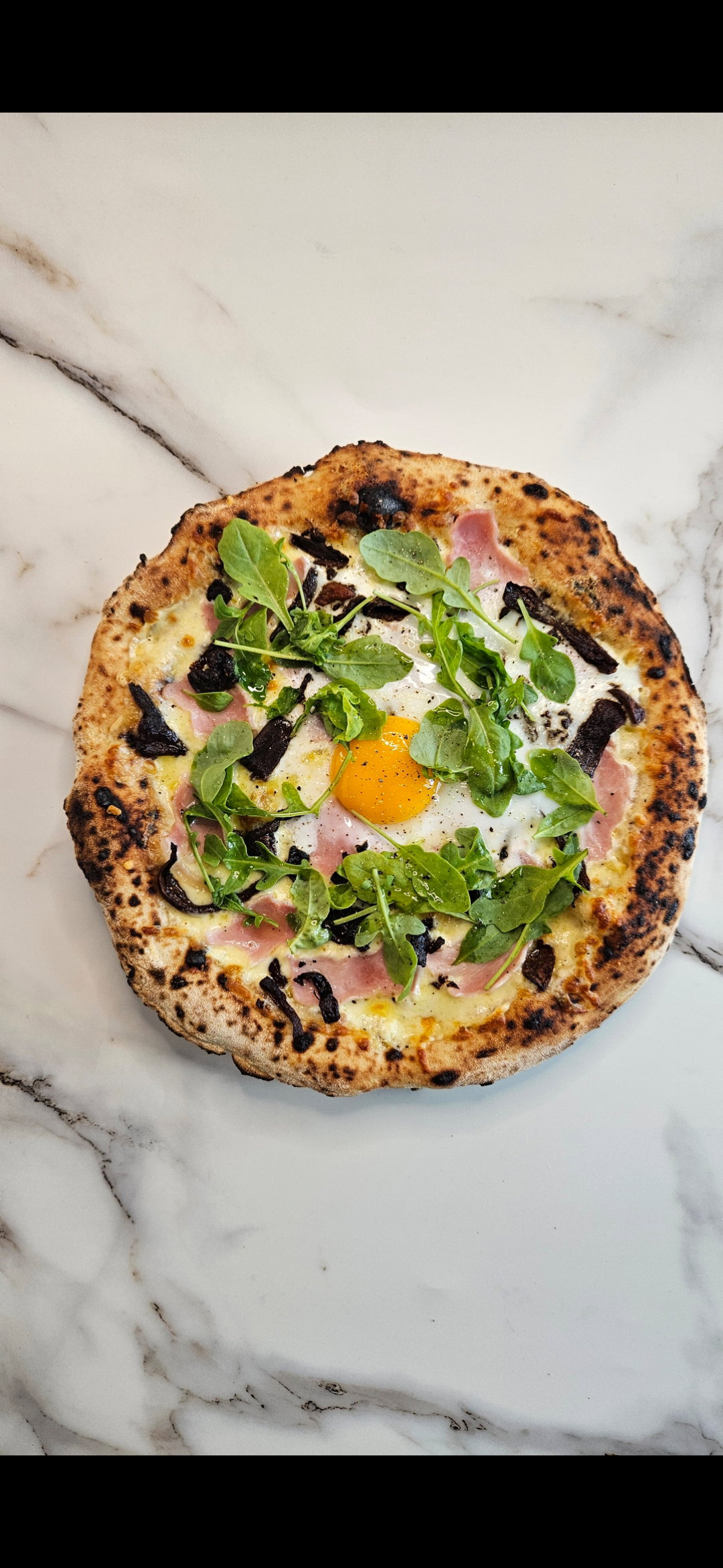 P12 PORCINI DEL SOLE_0