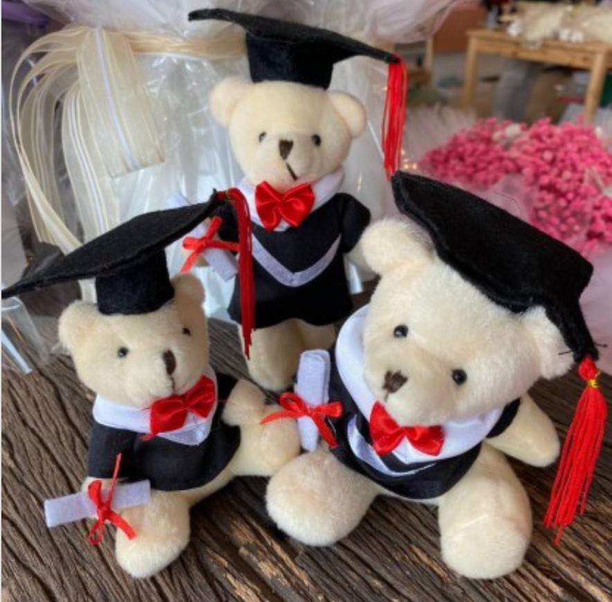 6" Inch Holding Certificate Grad Bear