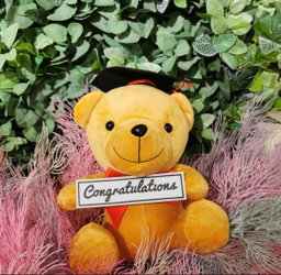 7 Inch Graduation Convo 