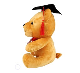 7 Inch Graduation Convo 