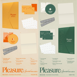 TREASURE - SPECIAL MINI ALBUM [PLEASURE]