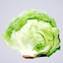 Iceberg lettuce per pc